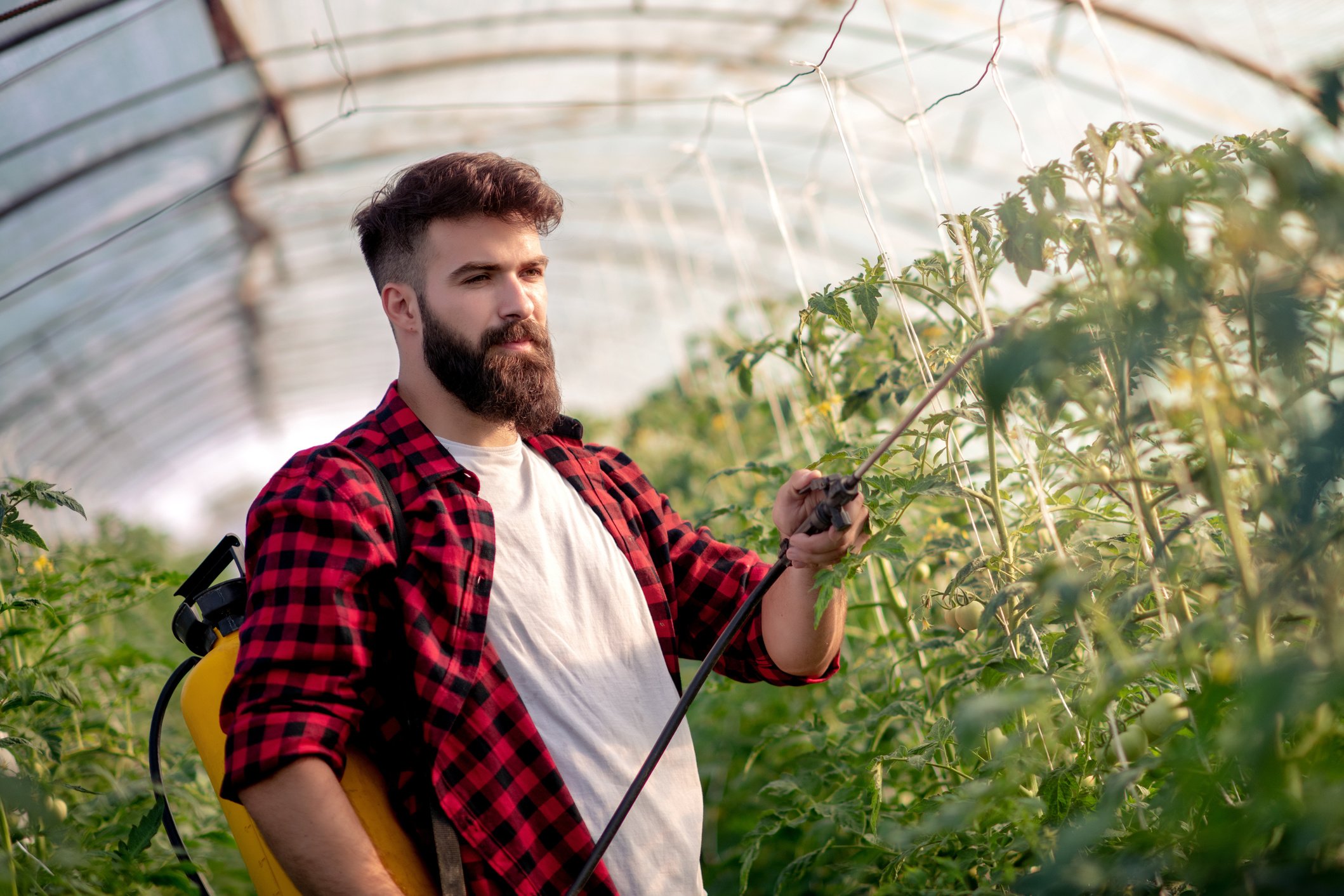 Young man in greenhouse