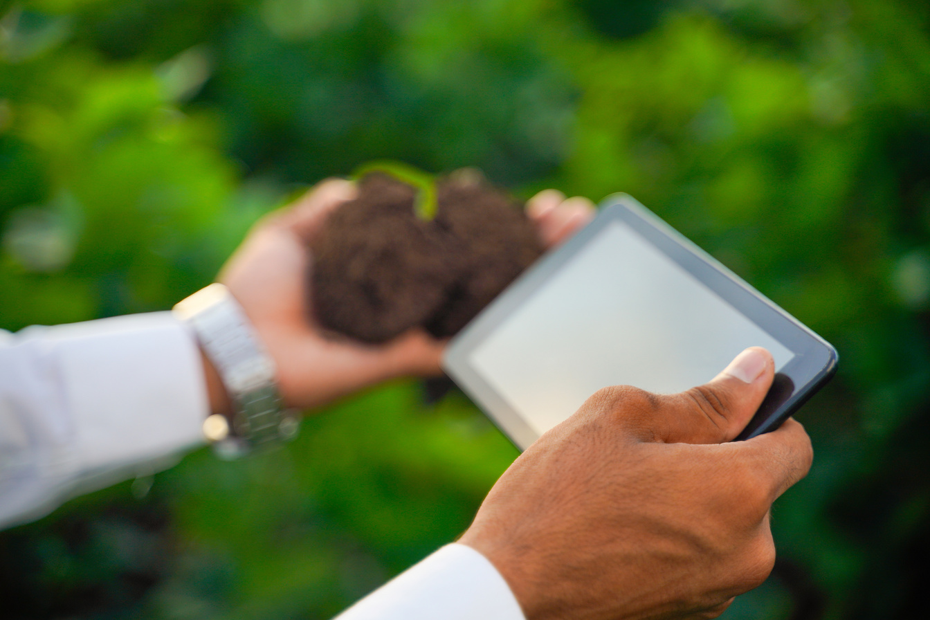 Testing the Soil sample on hand