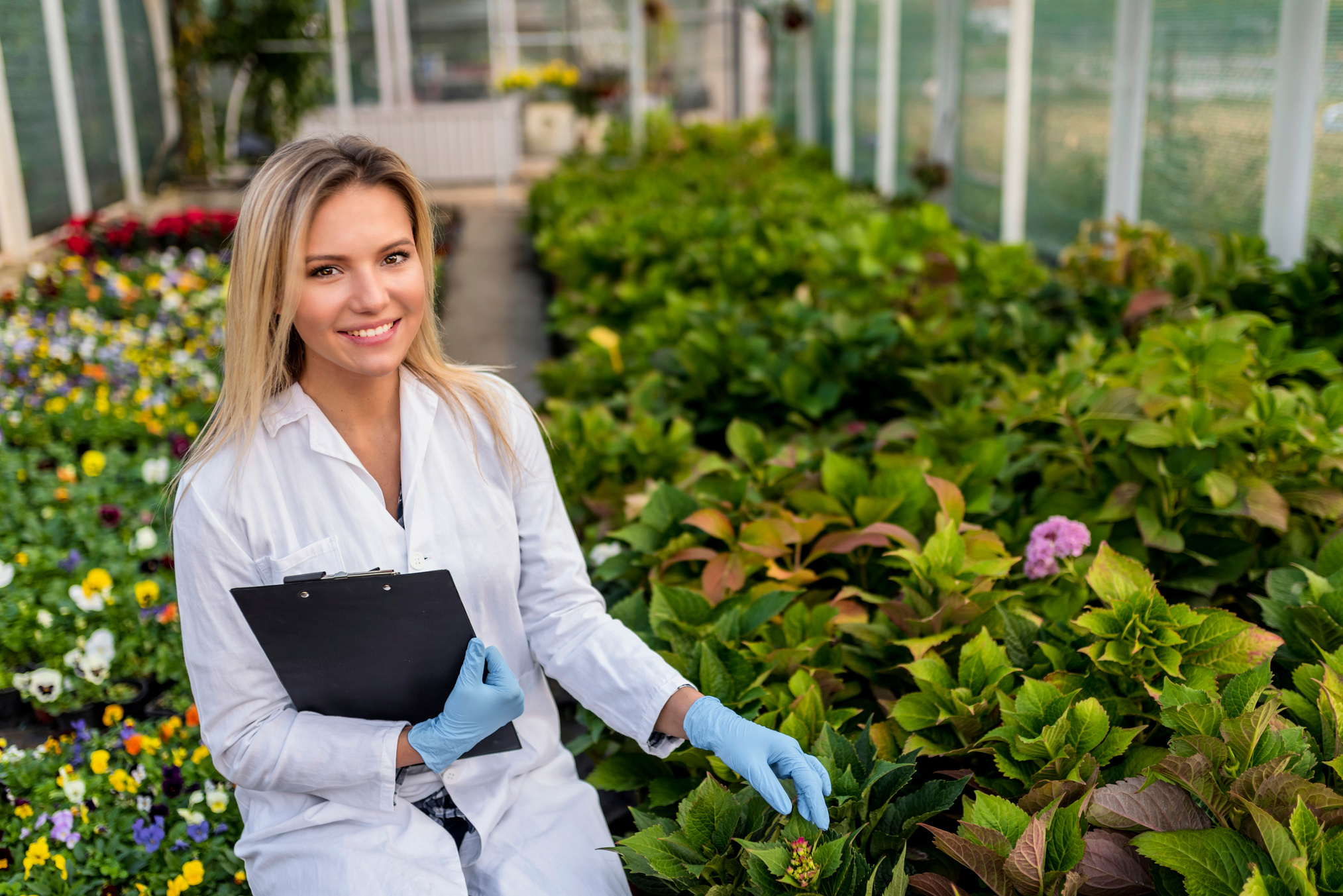 Scientists doing research in greenhouse farm